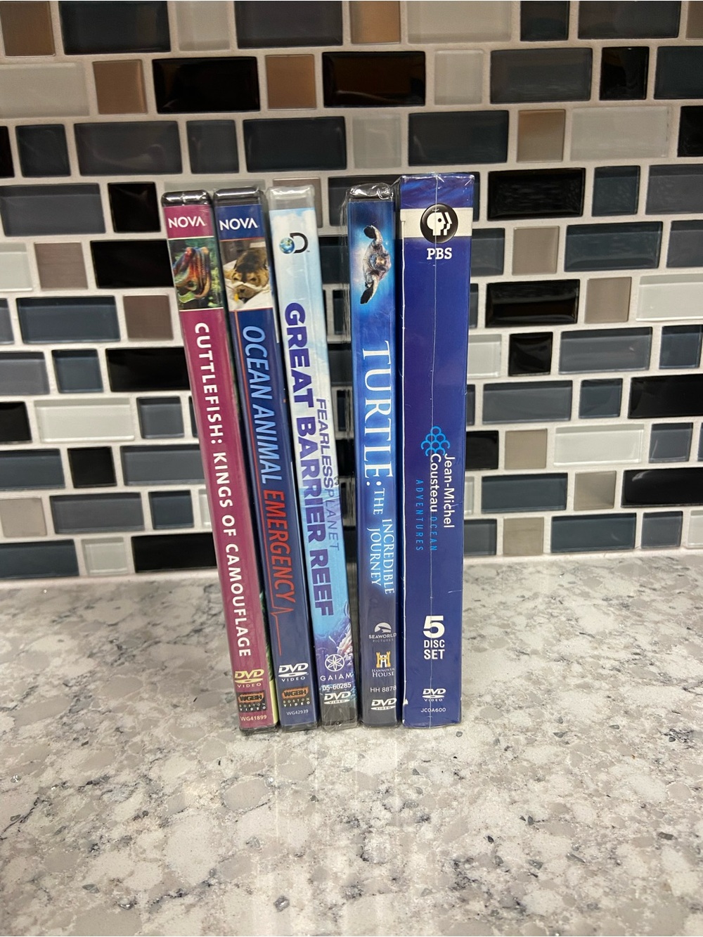 PBS Blue Turtle: The Incredible Journey - 5 Disc DVD Set